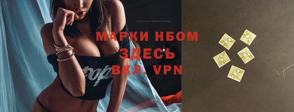 стаф Бородино