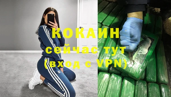 стаф Бородино