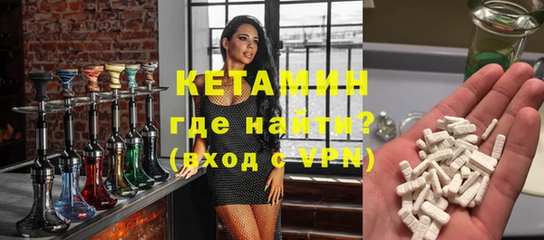 стаф Бородино
