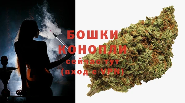 стаф Бородино
