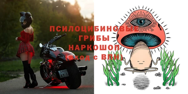 стаф Бородино