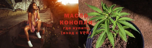 стаф Бородино