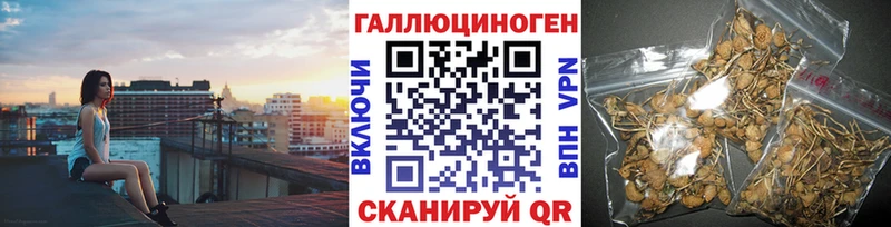 Галлюциногенные грибы прущие грибы Нижний Новгород
